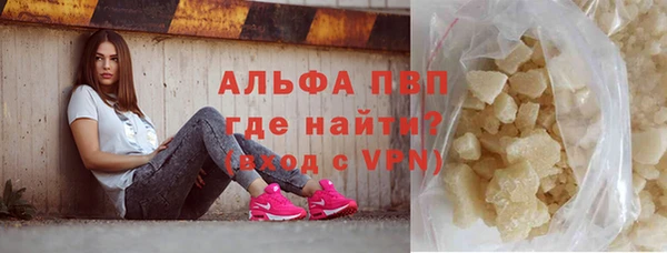 ГАЛЛЮЦИНОГЕННЫЕ ГРИБЫ Белокуриха