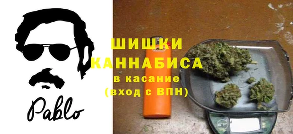 ГАЛЛЮЦИНОГЕННЫЕ ГРИБЫ Белокуриха
