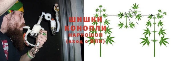 ГАЛЛЮЦИНОГЕННЫЕ ГРИБЫ Белокуриха