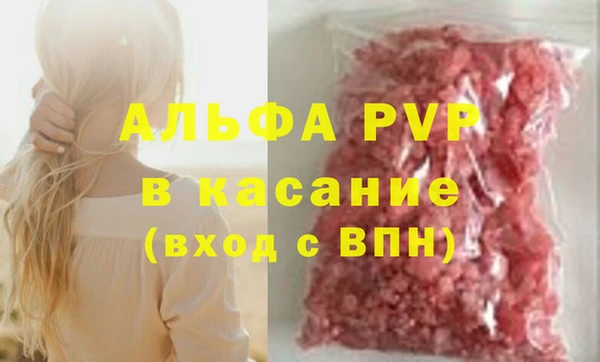 ГАЛЛЮЦИНОГЕННЫЕ ГРИБЫ Белокуриха
