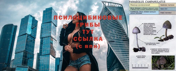 гидра Беломорск