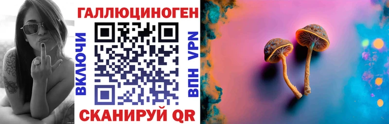 Галлюциногенные грибы Psilocybe  Мариинский Посад 